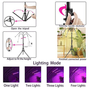 Plant Grow LED Light for Indoor Plants LED Spectrum Grow Lamp with Timer wor Seedling Dual Controllers Auto On/Off Adjustable Stand 4 Head Gooseneck