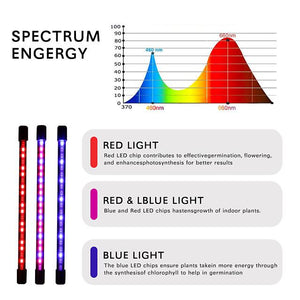 Plant Grow LED Light for Indoor Plants LED Spectrum Grow Lamp with Timer wor Seedling Dual Controllers Auto On/Off Adjustable Stand 4 Head Gooseneck